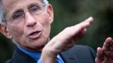 Fauci potentially influenced CIA's COVID origins probe, top House Republican says