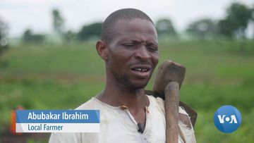 Soilless Farming in Nigeria an Alternative Amid Land Losses & Soil Degradation