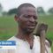 Soilless Farming in Nigeria an Alternative Amid Land Losses & Soil Degradation