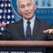 Roadmap for House Republicans' new COVID-19 investigation leads straight to Dr. Fauci