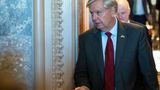 Graham joins other GOP senators in calling for delay in leadership votes