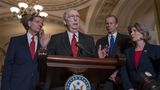 McConnell: Senate will take up gun legislation