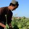 China backs Taliban efforts to end opium production