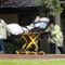 Pfizer says antiviral pill Paxlovid effective against COVID variant omicron