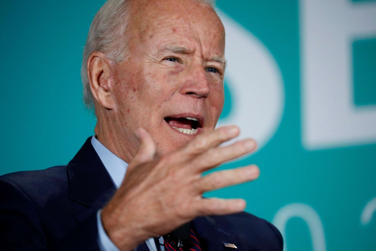 Biden Leads Democrats as Minorities Favor Most Electable Candidate vs Trump