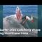 Pro Surfer Dies Catching Wave During Hurricane Irma