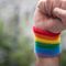 Gay Officers Action League says NYC Pride ban 'demoralizing' to law enforcement