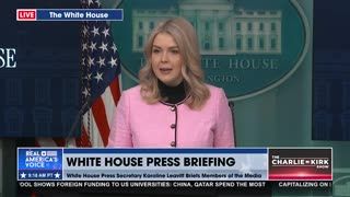 UPDATE ON MINNESOTA FRAUD CRACKDOWN