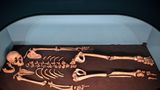 Discovery of 200,000-year-old bones could shed light on recent human ancestors