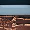Discovery of 200,000-year-old bones could shed light on recent human ancestors