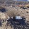 US Parks Clean Up Messes Made During Shutdown