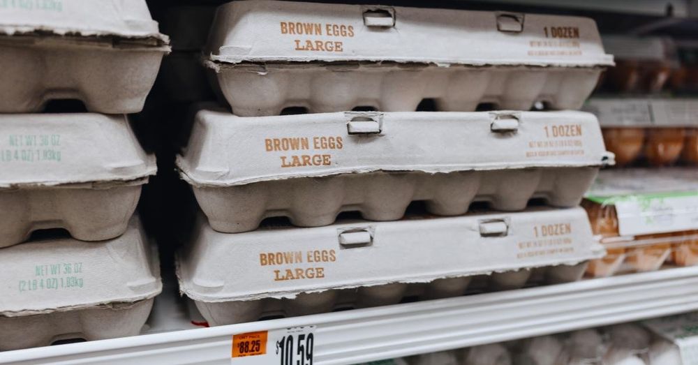 DOJ and 17 state AGs sue food businesses for illegally manipulating egg prices
