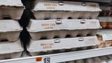 DOJ and 17 state AGs sue food businesses for illegally manipulating egg prices
