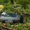 Trees Downed, Cars Damaged in Heavy Storms in Poland