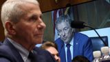 Senator Blumenthal accuses Paul of pursuing McCarthy-style campaign against Fauci