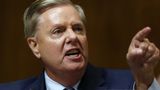 Sen. Lindsey Graham rejects claims that Trump is a fascist: "Look at the record"