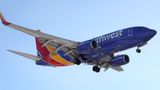 Southwest Airlines cancels 1,000 flights Sunday due to FAA and weather
