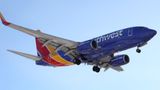 Southwest Airlines CEO contracts COVID days after questioning effectiveness of masks on planes