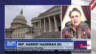 DEMS USING THE SHUTDOWN AS POLITICAL LEVERAGE