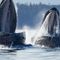 Massachusetts diver swallowed, spit out by humpback whale