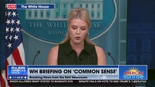 WHITE HOUSE BRIEFING: ON 'COMMON SENSE'