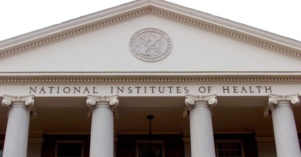 Almost all donations from NIH employees go to Democrats: analysis