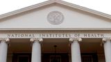 Almost all donations from NIH employees go to Democrats: analysis