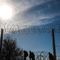 Former CBP and ICE leaders reply to Biden border claims in SOTU: 'They intentionally unsecured it'