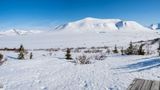 Coast Guard rescues bear attack victim in Alaskan wilderness