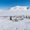 Snow crab season in Alaska canceled abruptly due to diminishing population