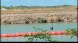 Lawsuit over buoys in Texas seeks to end Operation Lone Star
