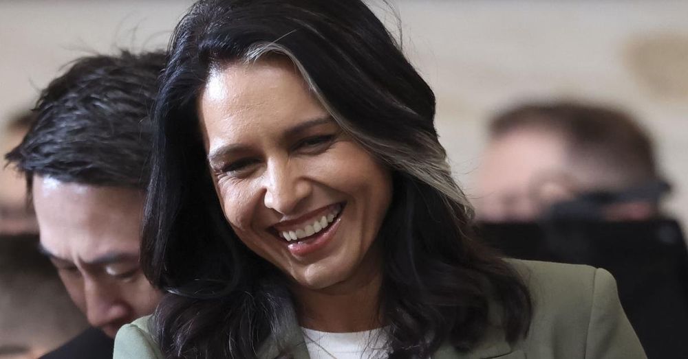 Dozens of former intelligence officials urge Senate to confirm Tulsi Gabbard as DNI