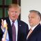 US Election Results Dismay Trump’s Populist Allies in Europe