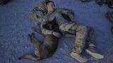 Animal welfare groups slam reported U.S. abandonment of military working dogs in Kabul airport