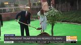 President Trump, Melania Trump plant a tree at Rajghat