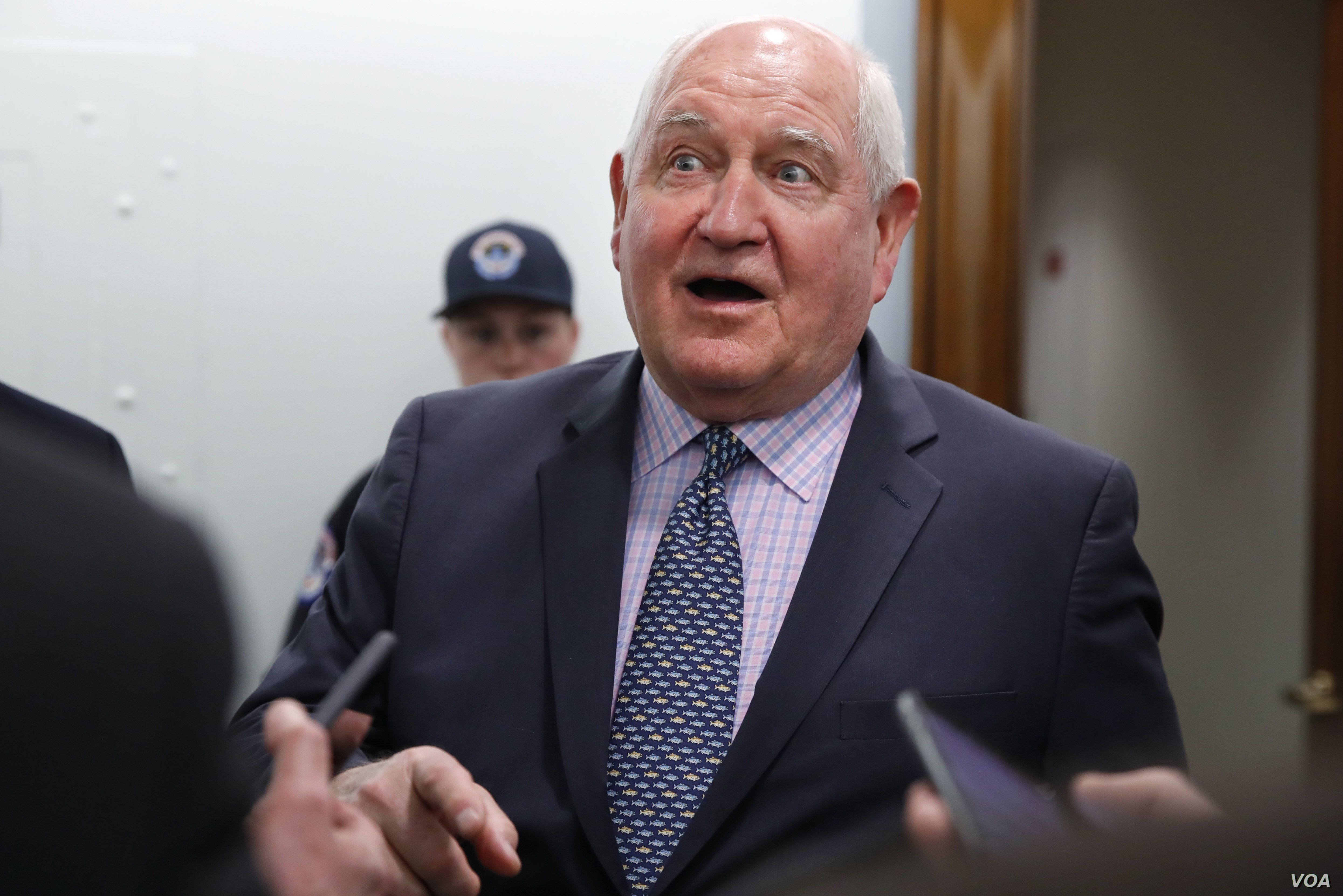 FILE - U.S. Agriculture Secretary Sonny Perdue speaks with reporters on Capitol Hill in Washington, April 11, 2018.
