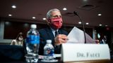 Fauci admits COVID won't be eliminated, advises people to calculate risk