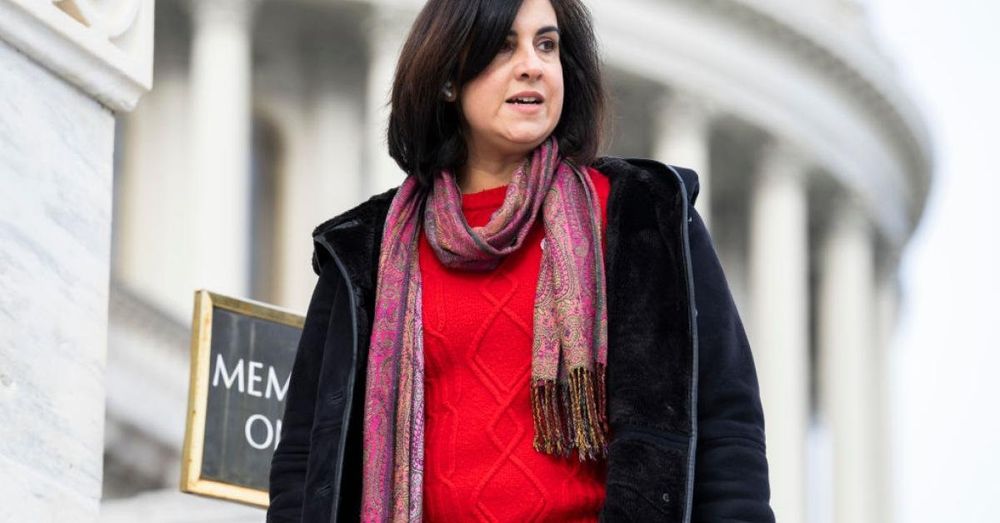 Democrats target congressional seat held by NY GOP Rep. Malliotakis with lawsuit