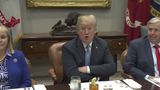 President Trump Participates in a Working Lunch with Governors