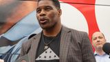 Herschel Walker says he's 'not smart' but will 'hold his own' in debate with Warnock