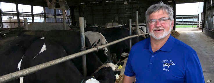 Dave Daniels stands in front of some of his dairy cows in wisconsin ove, Wis., on Tuesday, Aug. 6, 2019. He voted…