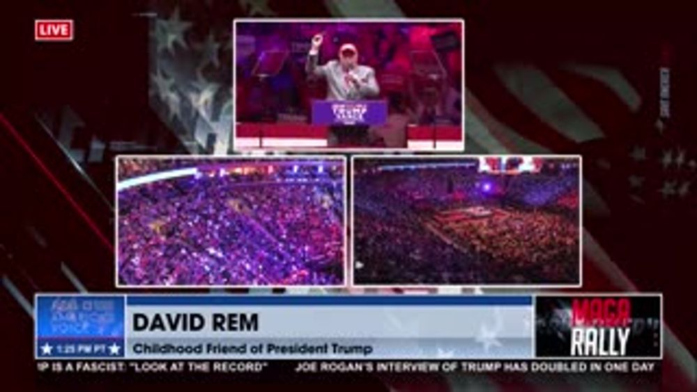 DAVID REM FOR NYC MAYOR!