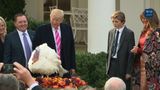 President Trump and The First Lady Participate in the Pardoning of the National Thanksgiving Turkey