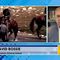 Dave Bossie: Border patrol agents "should be commended, not derided!"