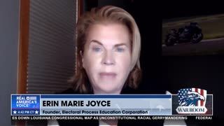 VIRGINIA SUPREME COURT KEEPS ELECTION INJUNCTION IN PLACE