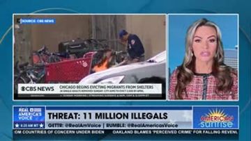 THREAT: 11 MILLION ILLEGALS