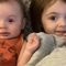 Family pit bulls maul two Tennessee infants to death, mother in hospital: Report