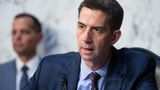 Tom Cotton blasts Biden for 'deliberately misleading' the public about withholding weapons to Israel