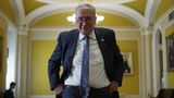 Schumer invokes 1928 'Rule of Five' to demand Epstein files