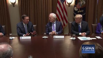 Exchange between Sen. Murphy & President Trump on gun legislation (C-SPAN)